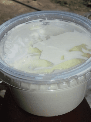 Requeijão Caseiro MST 200g