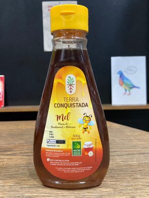 Mel Bisnaga 500g - Terra Conquistada